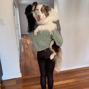 Meet your Posher, Leila